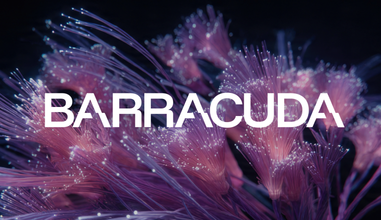Barracuda: An AI Marketing Intelligence Platform That Predicts Performance Before You Spend featured cover image
